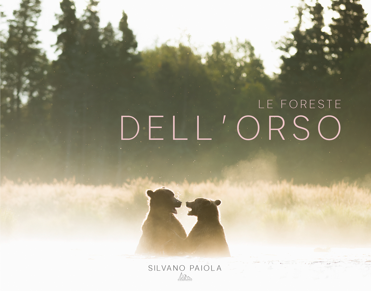 COV-paiola-orsi-vividolomiti-fronte